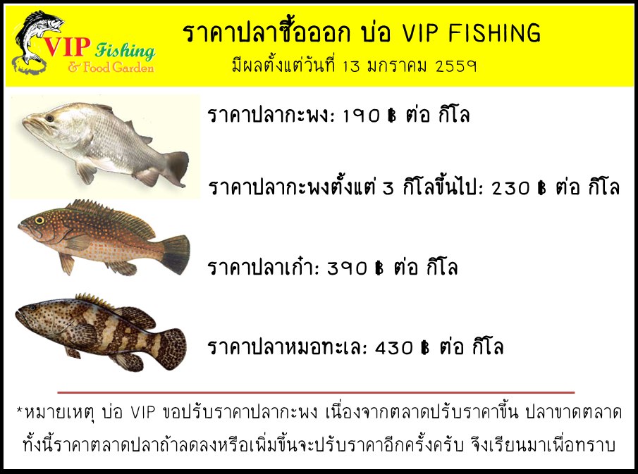 บ่อVIP มีการเปลี่ยนแปลงโปรตกปลา และราคาปลาซื้อออกดังนี้
