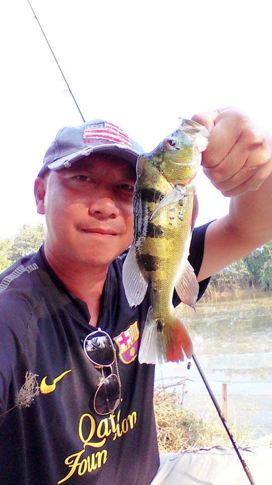 Peacock Bass ราชบุรีก็มีนะ