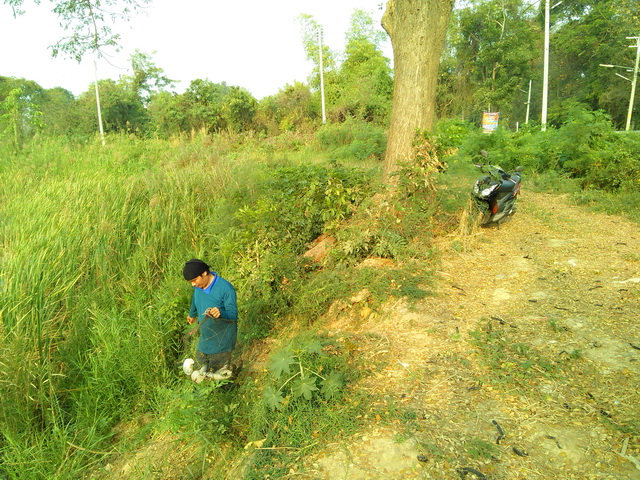 บ่อลุงเอก 21 ก.พ. 2559