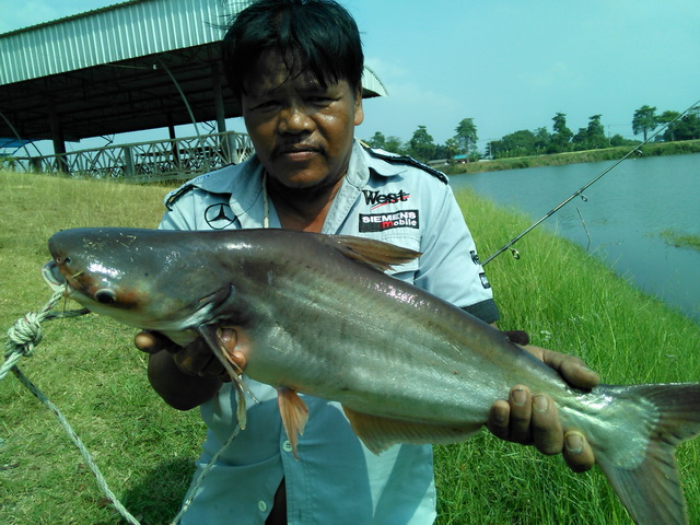 บ่อลุงเอก 21 ก.พ. 2559