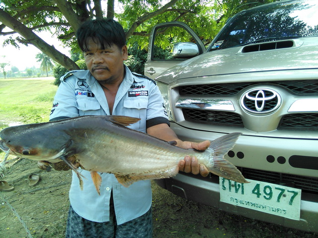บ่อลุงเอก 21 ก.พ. 2559
