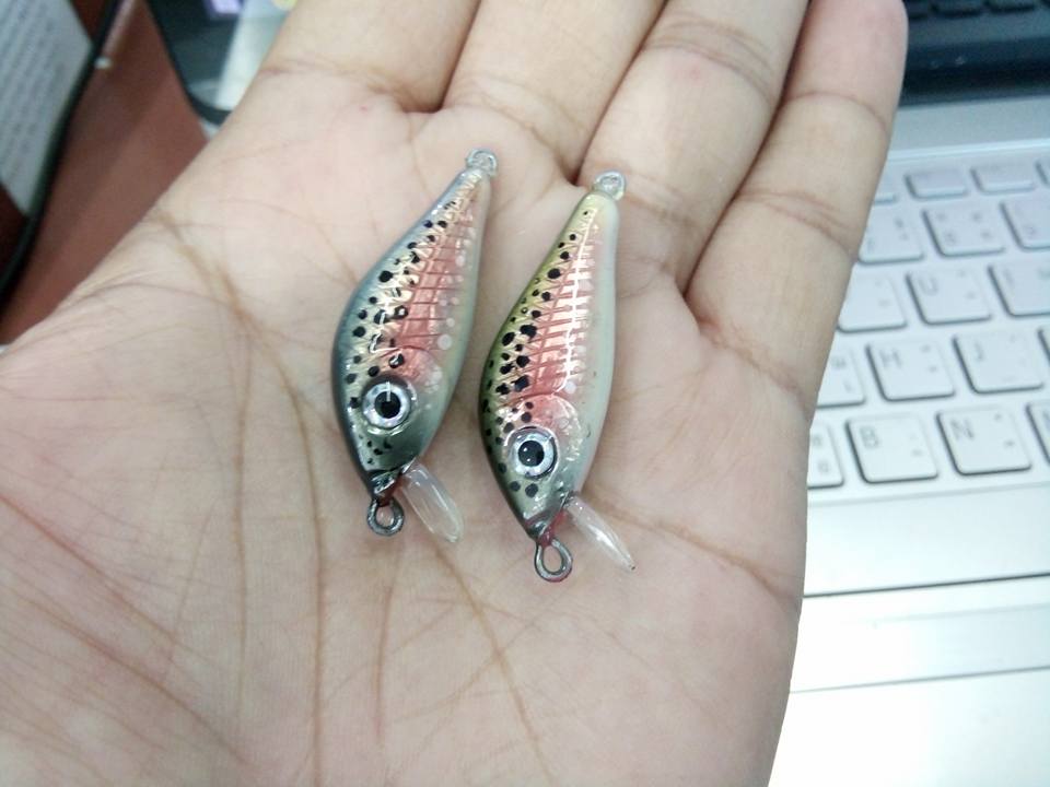 Plug 3.5 cm 2.5G Slow sink (Rainbow trout)