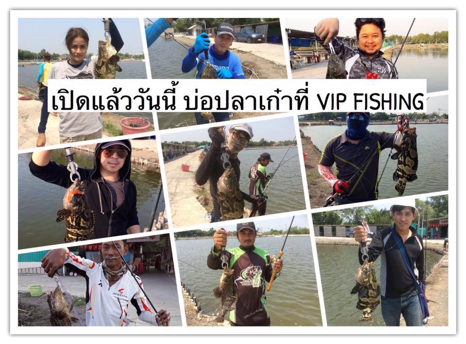 เก๋ามันโหดมาก เจอเก๋าได้ที่ VIP FISHING