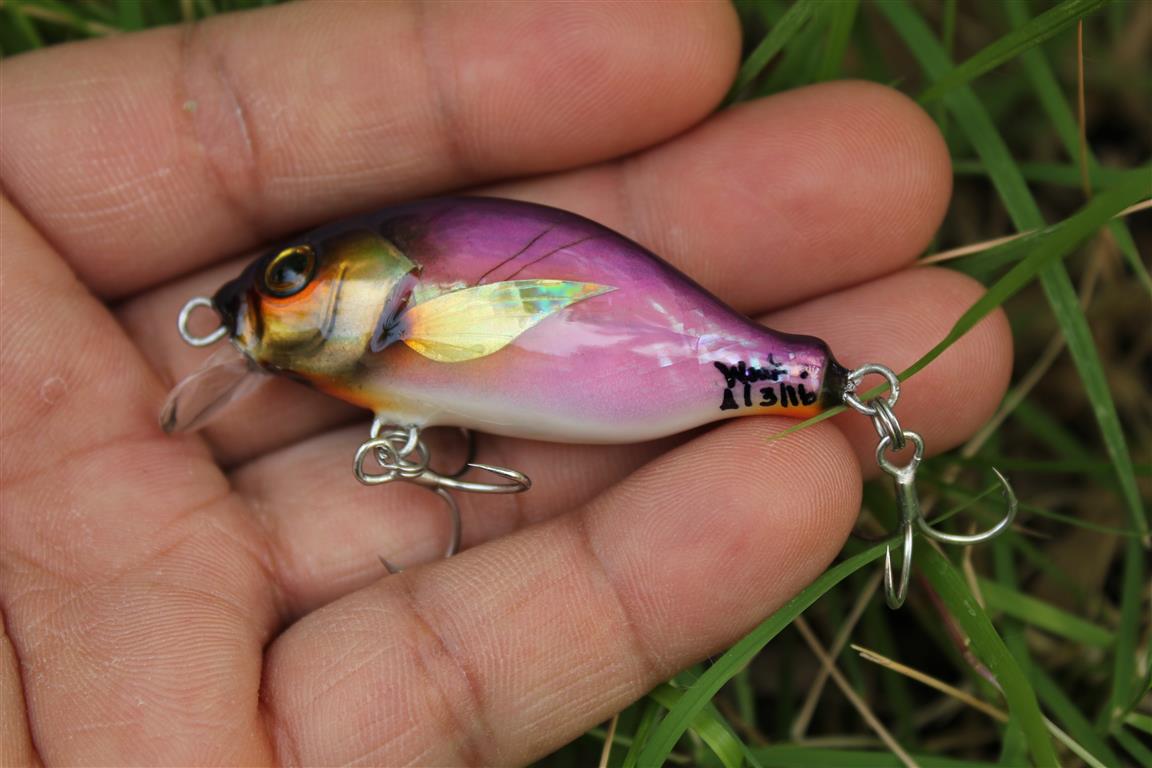 ทรงใหม่ by witbang lures