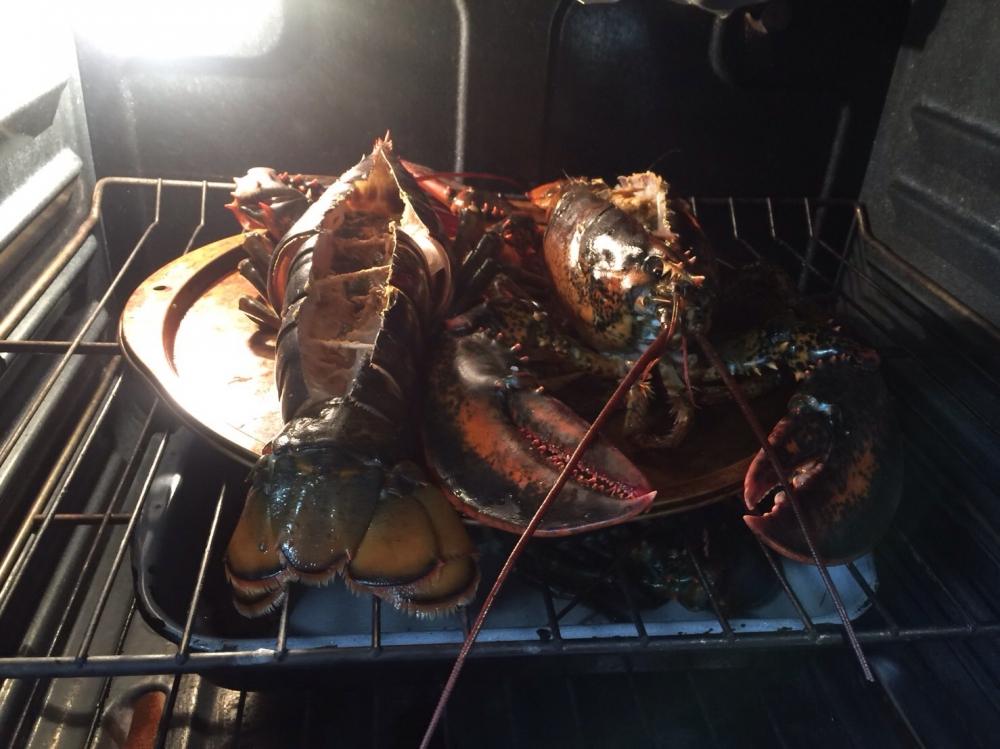 กิน Lobsters กันครับ