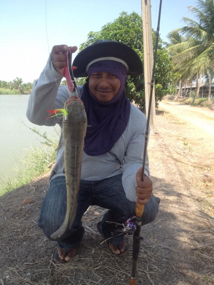 ตำนานใบหลิวเกวลินกลับปลาช่อนฟาร์มไก่ไข่