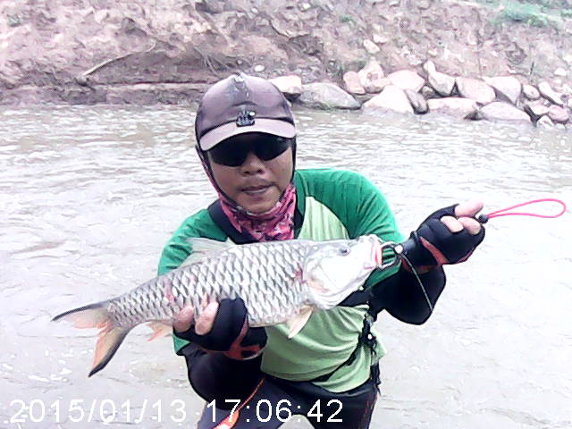 เลาะหากระสูบ แม่น้ำชี
