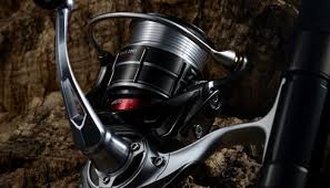 Daiwa IGNIS 2505 TYPE-R  vs  daiwa luvias 2506