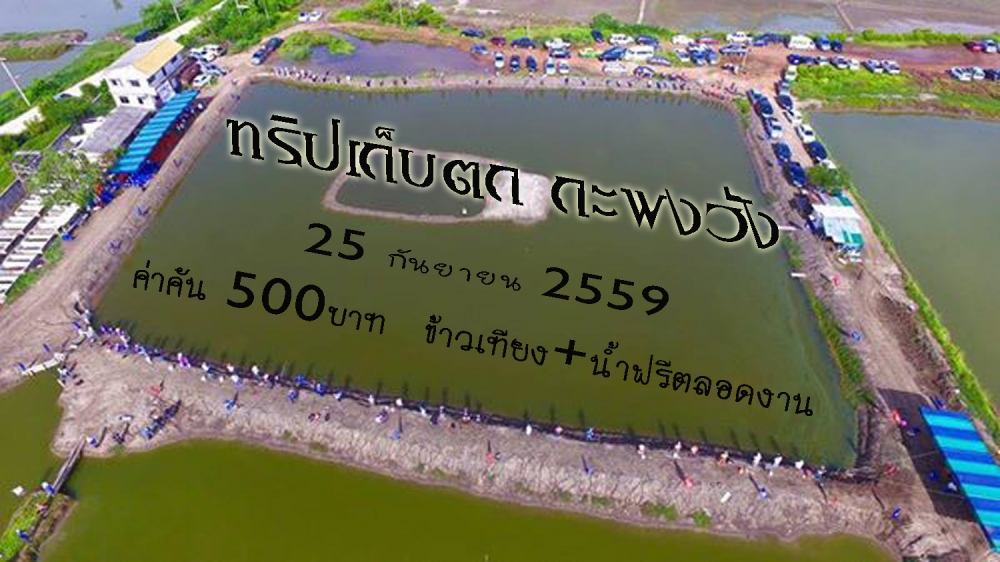 ทริปเก็บตก กะพงวัง (บ่องาน King of siamfishing)