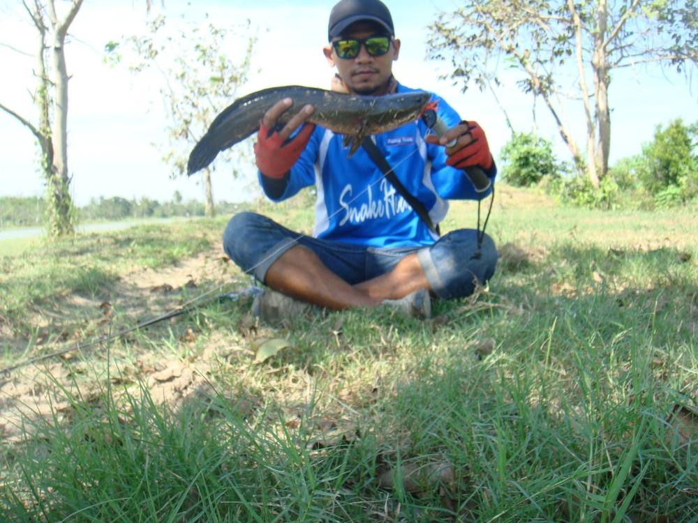 วันนี้สำรวจหมาย.อาทิตย์หน้า...เอาจริง/SnakeHead Angler Club