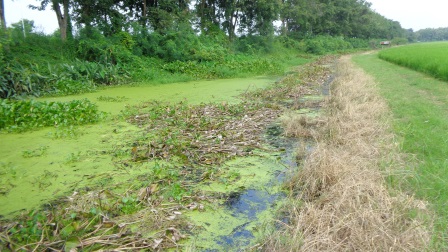 เก่งบ้านใหม่ ท่าม่วง ( กาญจนบุรี )