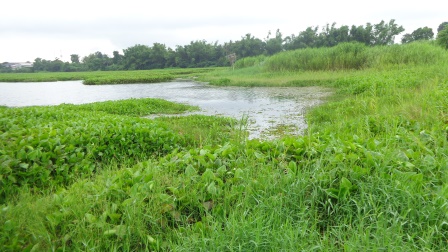 เก่งบ้านใหม่ ท่าม่วง ( กาญจนบุรี )