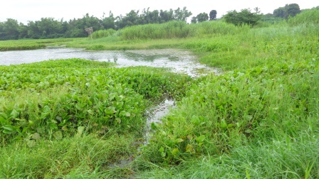 เก่งบ้านใหม่ ท่าม่วง ( กาญจนบุรี )