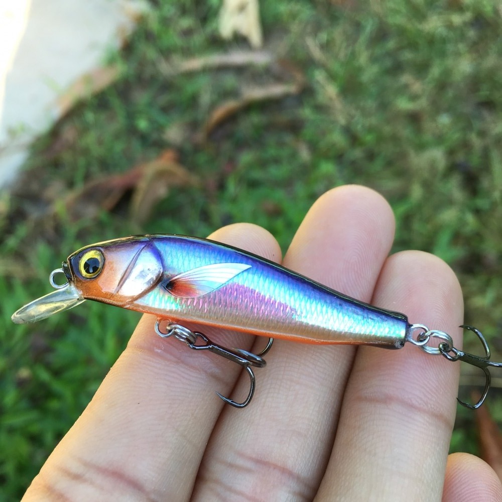 Minnow สีเหลือบ