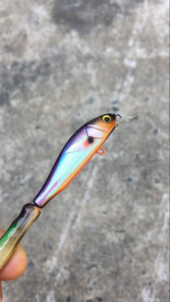 Minnow สีเหลือบ