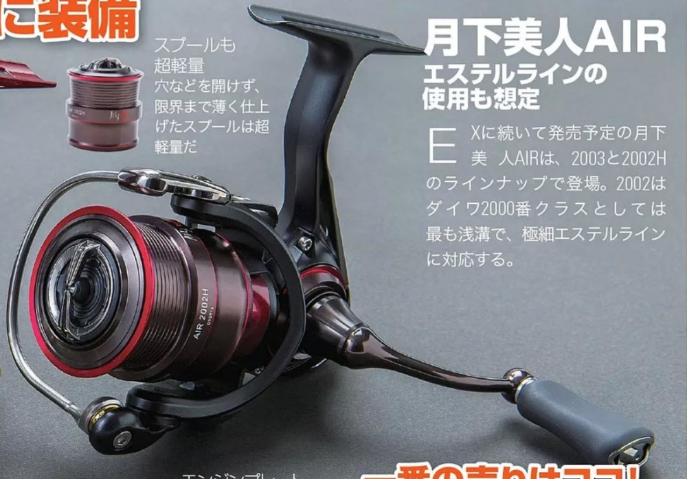 DAIWA 2017 GEKKABIJIN AIR