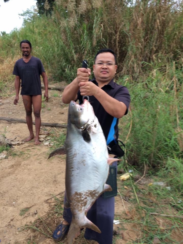 ทริปแม่น้ำปิง by witbanglures (สวัสดีปีใหม่พี่ๆน้าๆชาวสยามฟิชชิ่งทุกท่านครับ)