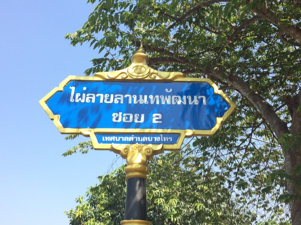 แพตกปลาแม่น้ำเจ้าพระยา บางไทร