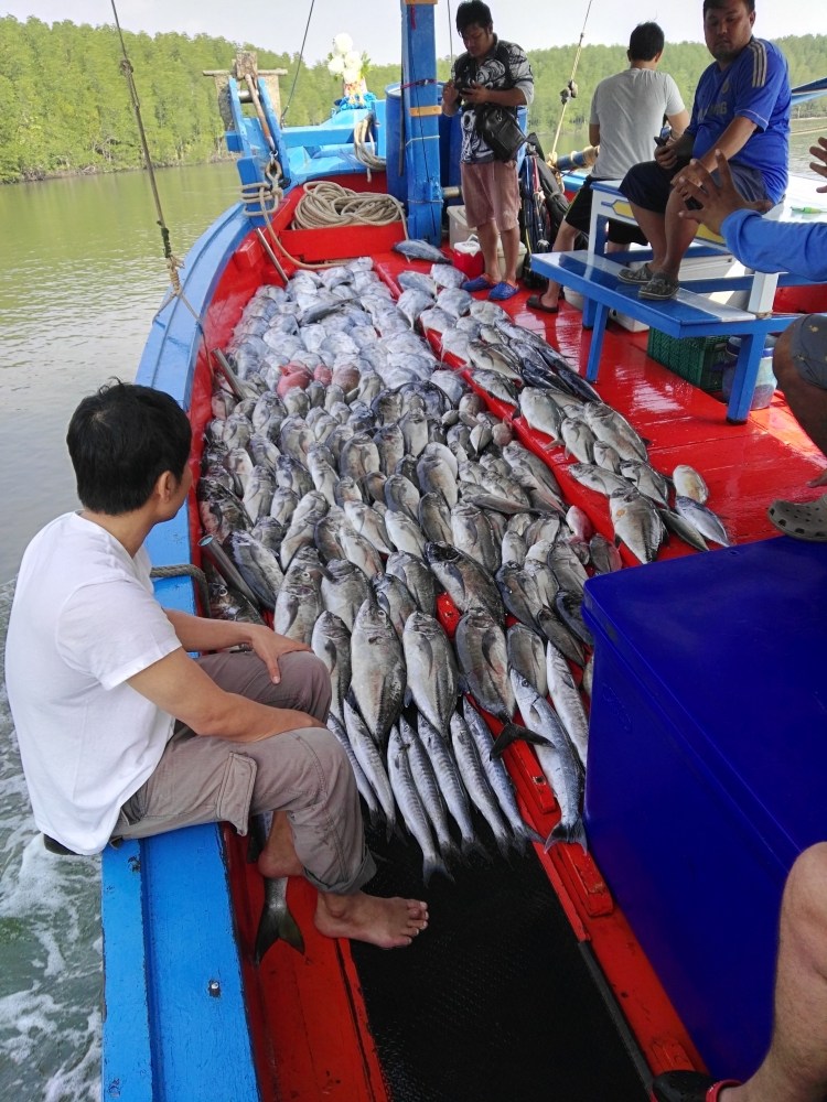 เยี่ยมหลักทานตะวัน