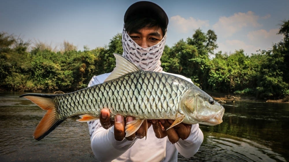 กระสูบ น้ำไหล กาญจนบุรี 