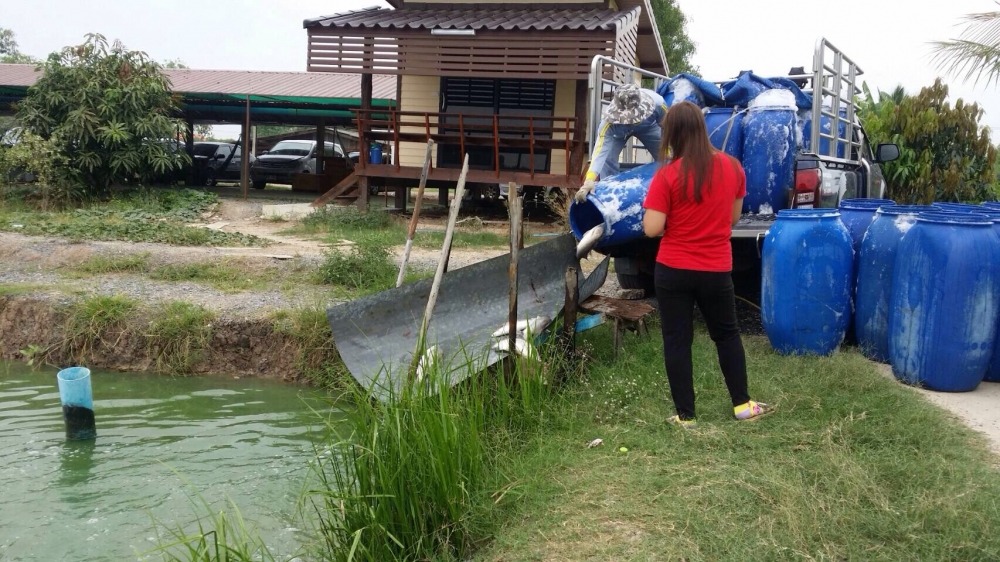 บ่อบ่อนไก่ วันจักรี/สงกรานต์เปิดปรกติ ลงปลาใหม่ ไซด์โล 300 โล