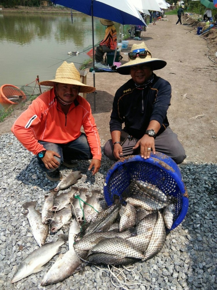 กะพงบุฟเฟ่ร์ K.B. fishing พรุ่งนี้เจอกัน