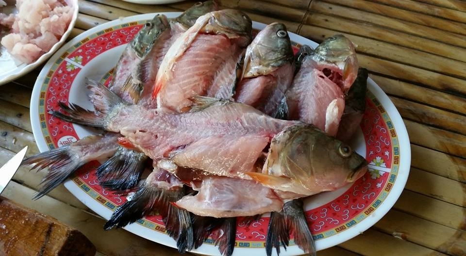 เมนุปลากระสุบวันนี้ขอเสนอ แกงเขียวหวานลูกชิ้นปลากระสุบครับผม