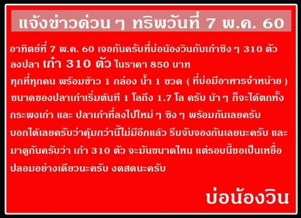 โค้งสุดท้ายของทริพปลาเก๋าซิงๆ 310 ตัว ในวันที่ 7 พค 60 นี้ครับ