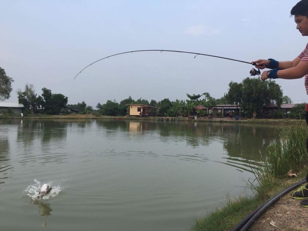 ทดสอบแดดเมืองไทย @ บ่อนไก่