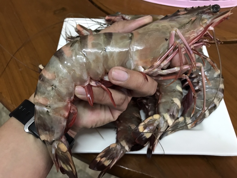 กุ้งผัดผงกระหรี่