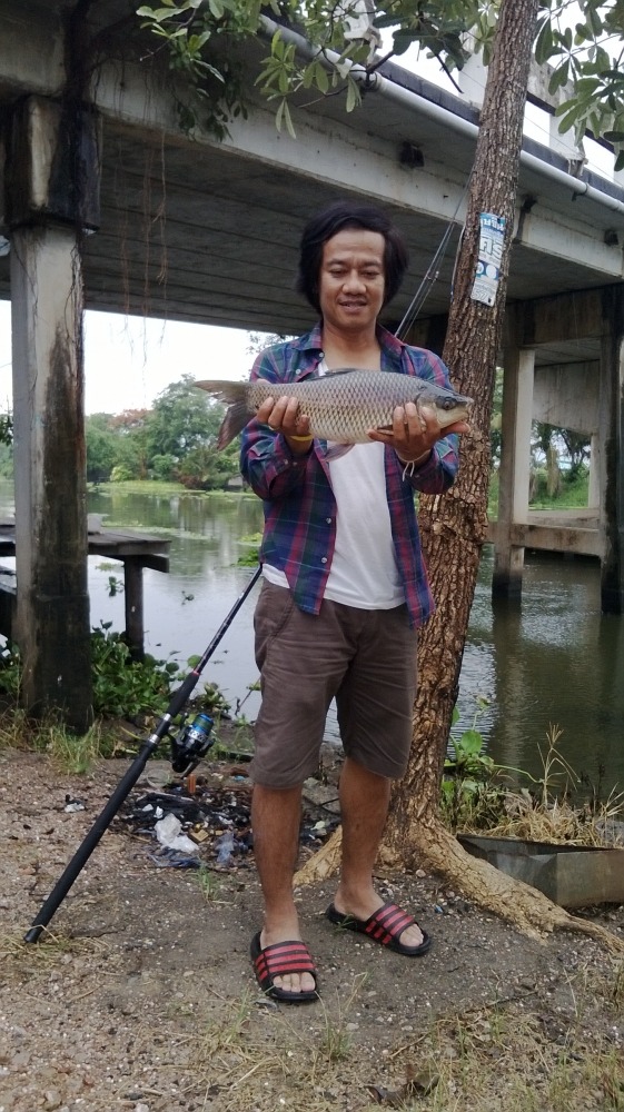 ฝนหยุดตกแต่เราไม่หยุดตก