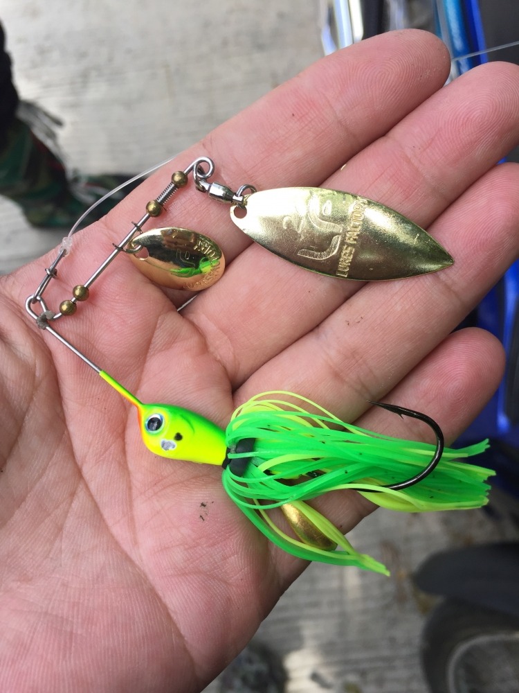   SpinnerBait กับหมายสวยๆครับ