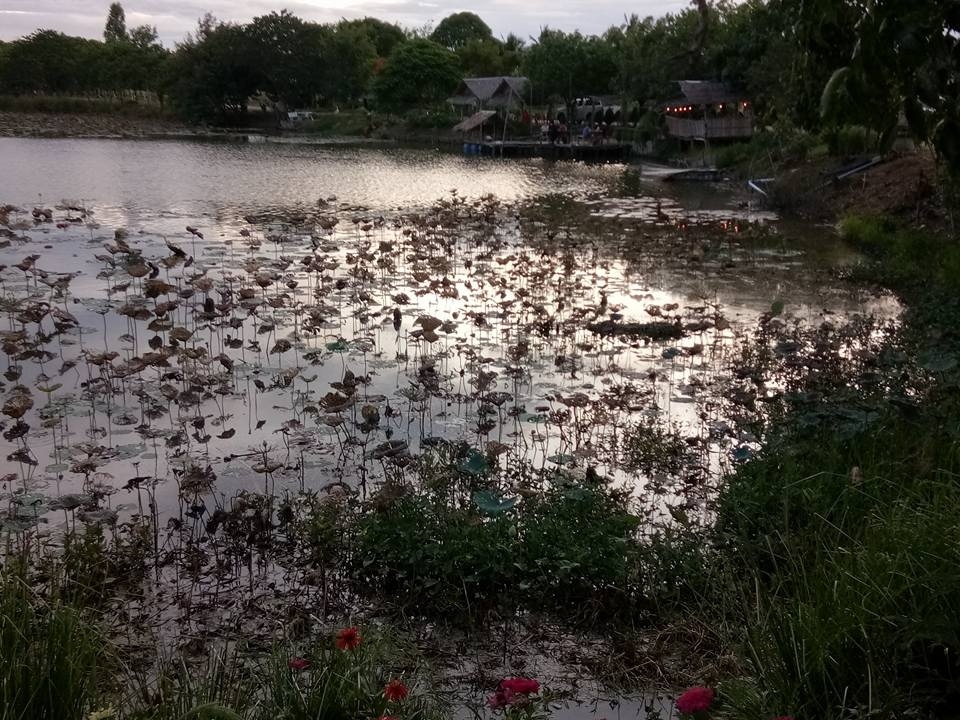 เปิดซิงรอกใหม่ กับช่อนตัวแรกในรอบปี