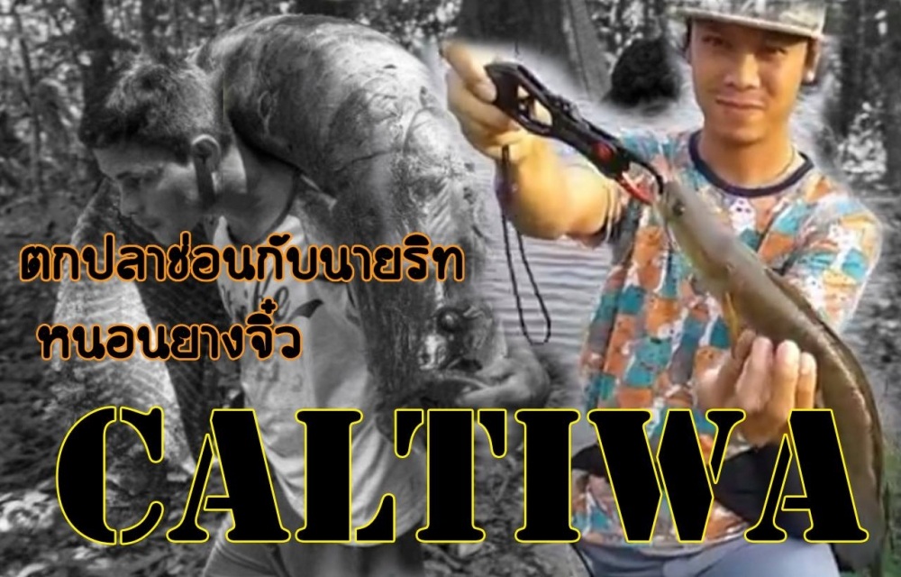 ตกปลาช่อนกับนายริท