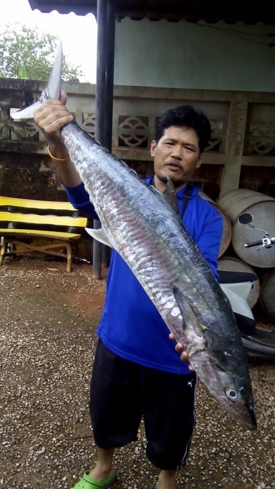 อินทรีใหญ่ยังมีที่ตราดbyไต๋พล