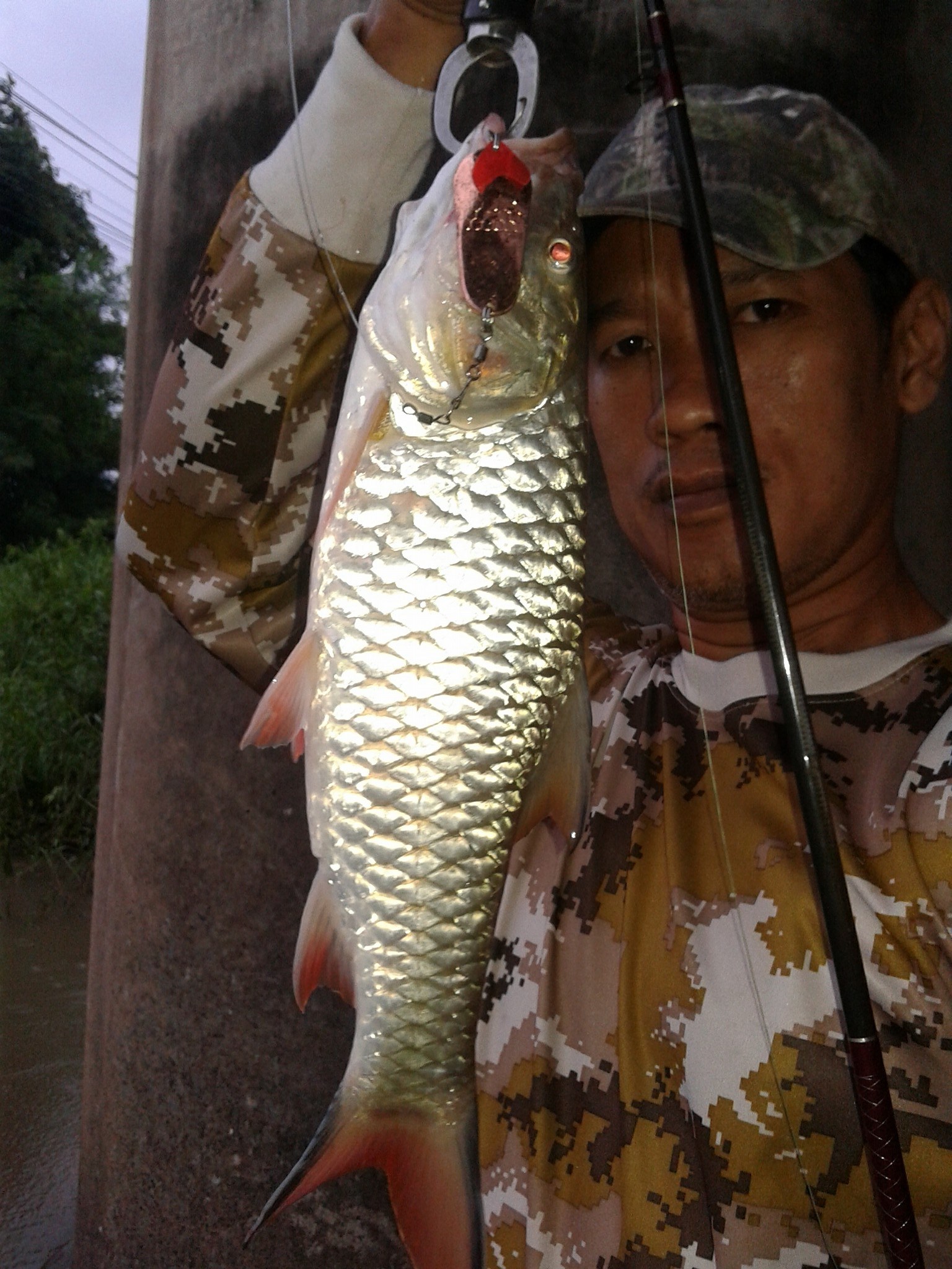 กระสูบแม่น้ำสุพรรณ