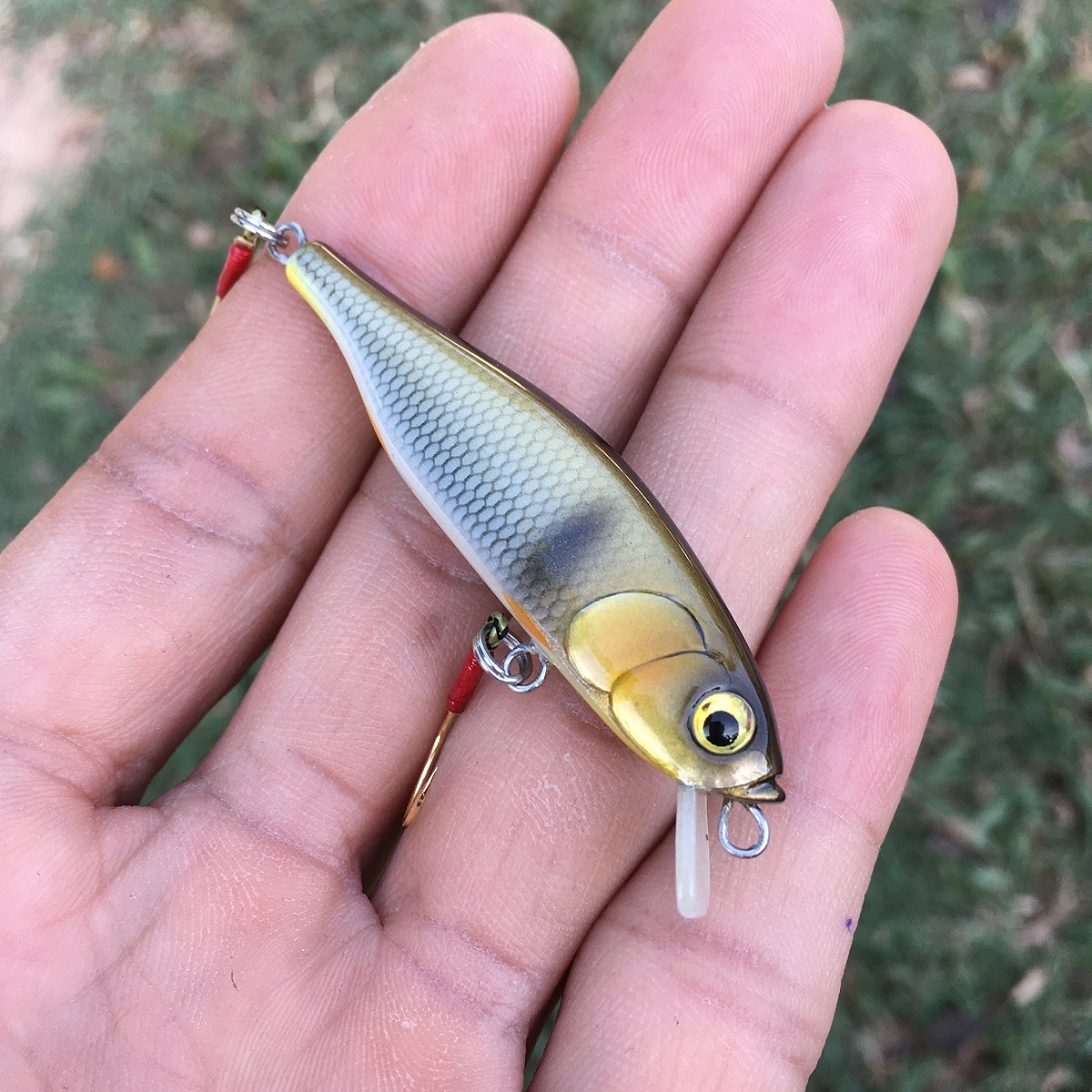 Minnow 55s ลายกระสูบ