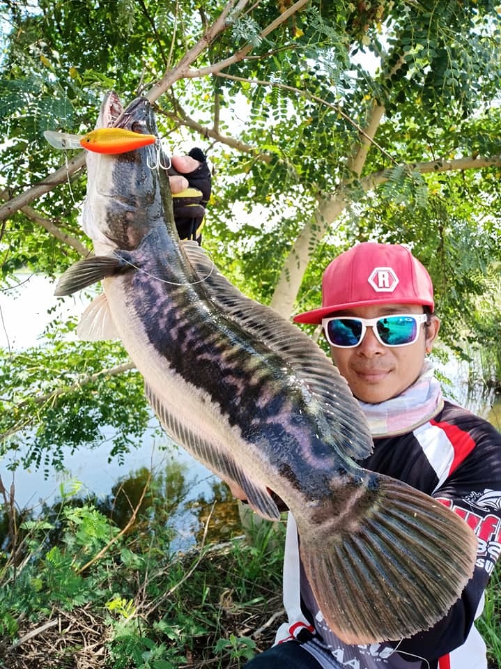 ช ะ โ ด จิ บ ริ ม ค ล อ ง "Rapala RISTO 8"