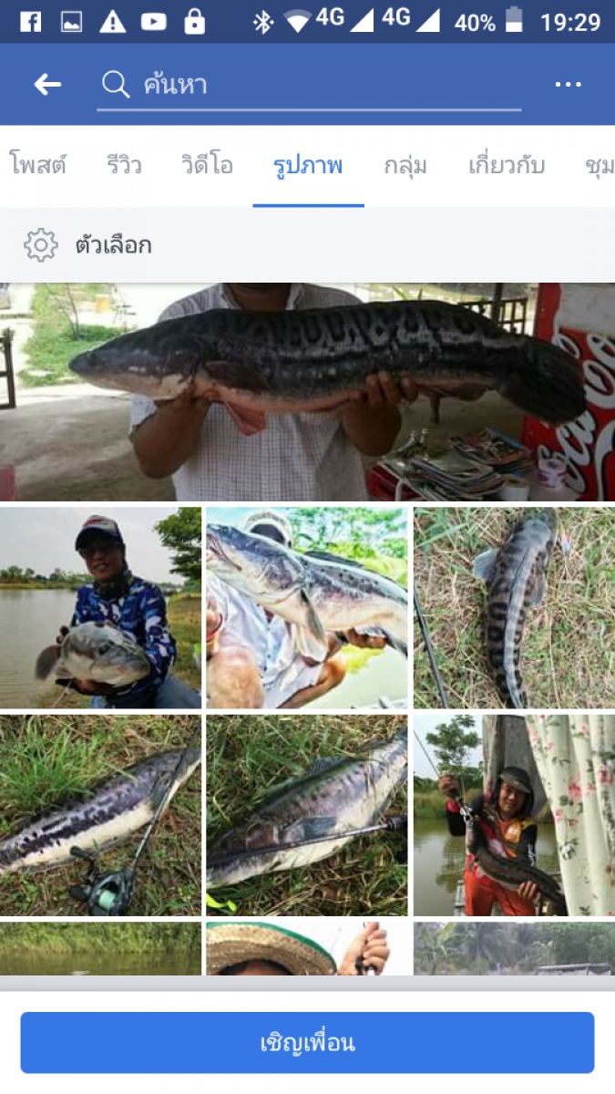 nirvanafishingpark snakehead thailand