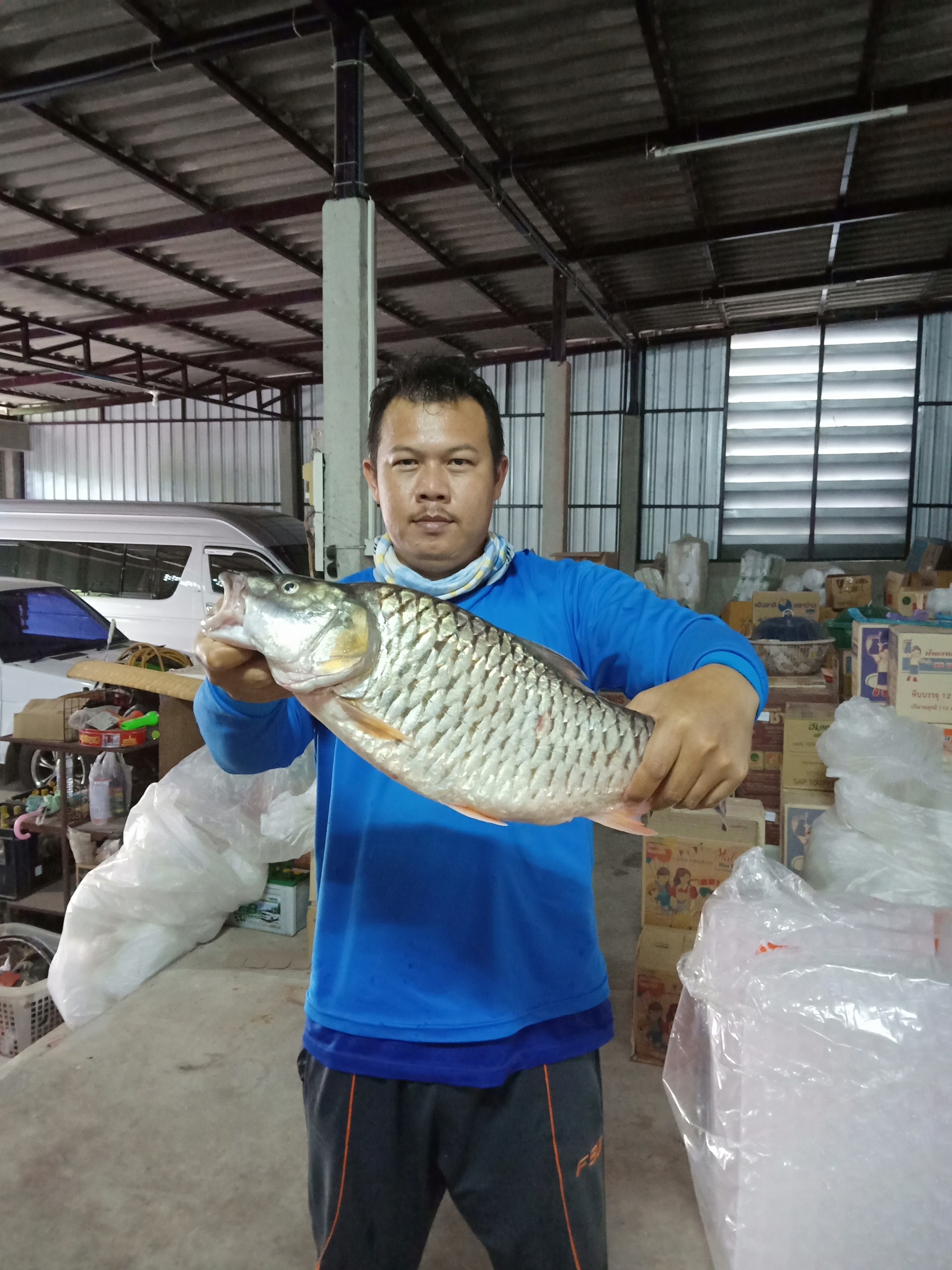 เลาะแก่งหากระสูบแม่น้ำชีครับ