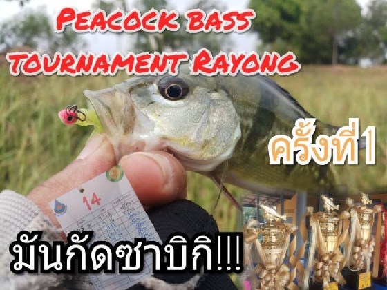 Peacock bass tournament ครั้งที่1 