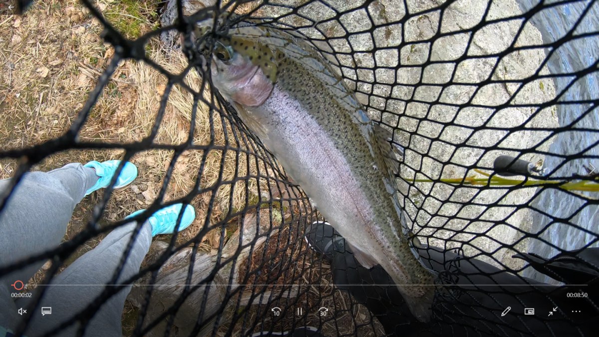 ตกเรนโบวเทร้า rainbow trout 
