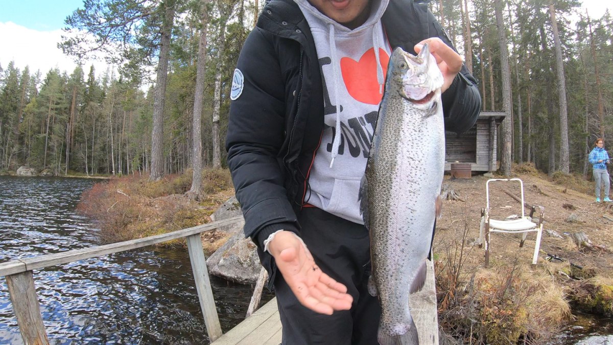 ตกเรนโบวเทร้า rainbow trout 