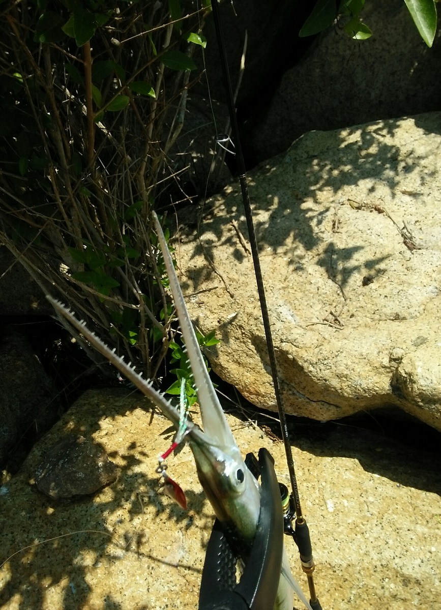 LightRockFishing สนุกดีครับ