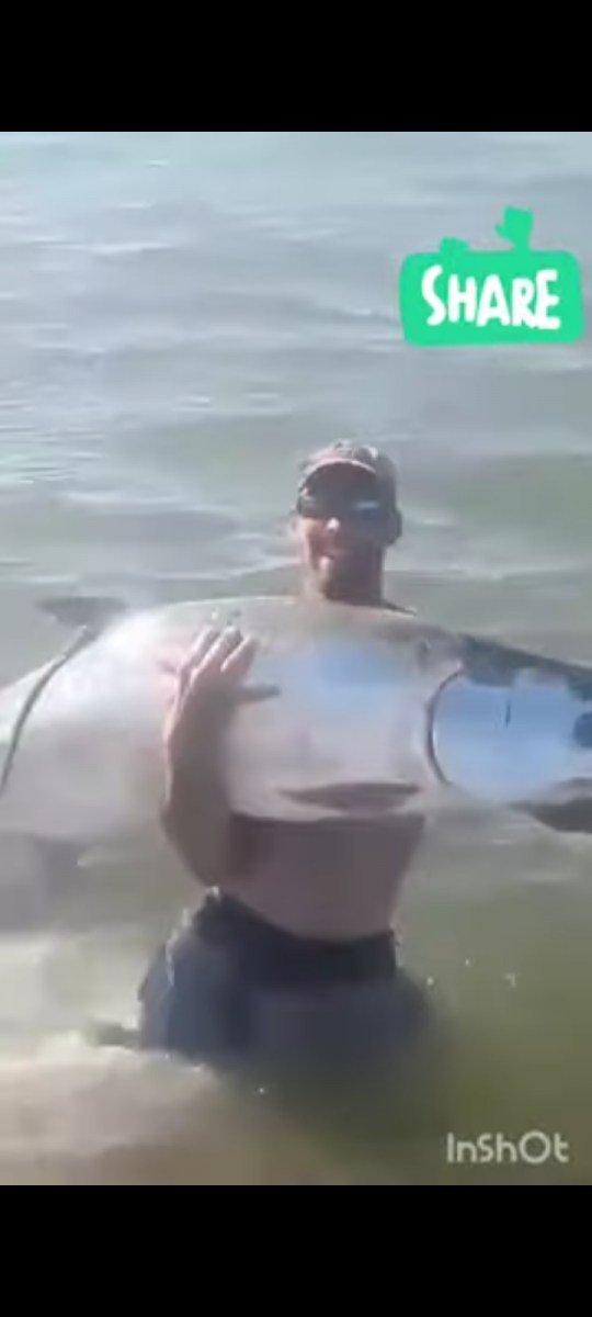 คันเบ็ดแทบหักปลาขนาด bigsize