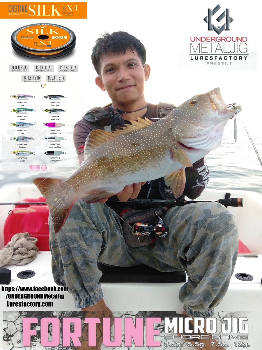 ภาพรวม light jig 