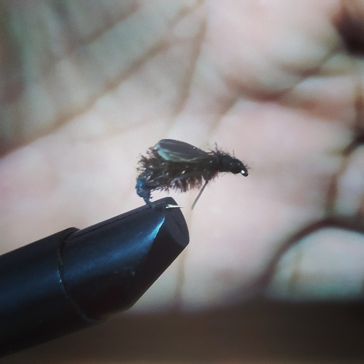 Fly...แมลงตัวจิ๋ว#4