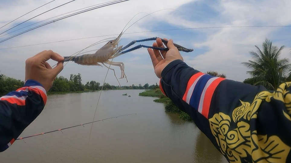 ตกกุ้งแม่น้ำ บนสะพาน ปราจีนบุรี