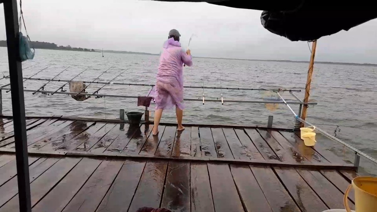 ตกปลานิลหนองปลาไหลวันที่พายุเข้าฝนตกทั้ววัน