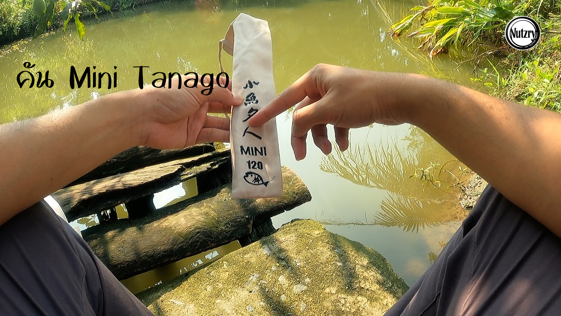 ตกปลาเล็กๆ แบบทานาโกะ (タナゴ) 